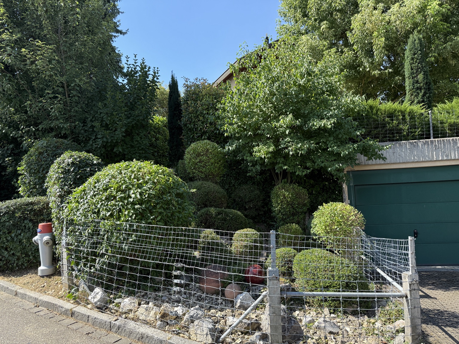 Gepflegte Gehölze und Sträucher entlang einer Gartenanlage